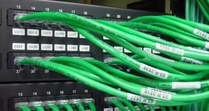 Green network cables plugged into rack